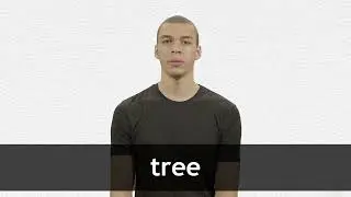 How to pronounce TREE in American English