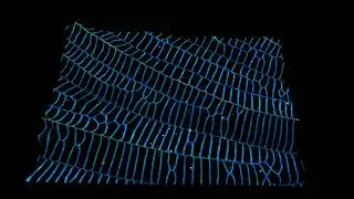 Beautiful demoiselle (Calopteryx virgo) wing closeup