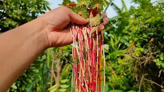Đồ chơi độc đáo tự làm từ lá cây khoai mì