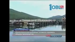 Челябинская область. Рыбоводство на Южном Урале. Август 2014