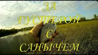 ГУСТЕРА \ ЛУЧШЕЕ ВРЕМЯ ДЛЯ ЛОВЛИ ГУСТЕРЫ \ 
