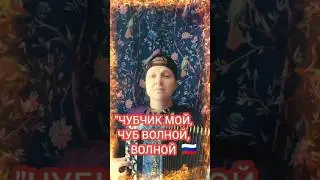Чубчик мой.  На горе колхоз #баян #баянист #народныепесни #застольныепесни
