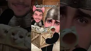 They used cats 😅