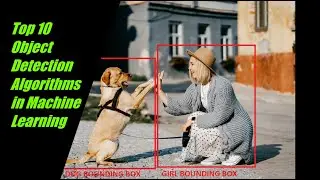 Top 10 Object Detection Algorithms in Machine Learning