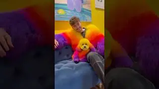 The jacket matches the dog?!