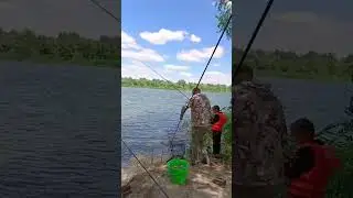 Поимка Большого леща на реке Дон. Трофей на полном бесклевье. #shorts #трофейныйлещ #fishmir #дон
