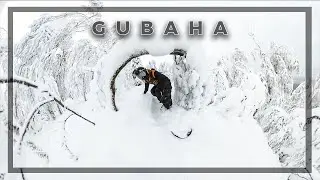 Губаха Ин Сноу | 13 декабря 2019.