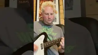 ReverbBird… #guitar #music #gibson #gibsonguitars #firebird #newmusic #song #delay #reverb