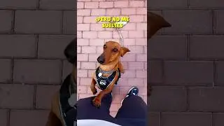 They let me off the leash! 😱 