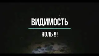 Апрель 2020 года. Тюменская область. В районе города Ишим.