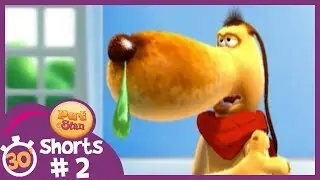 Pat and Stan | 30 Minutes | Shorts Compilation #2 | Cartoons for Children