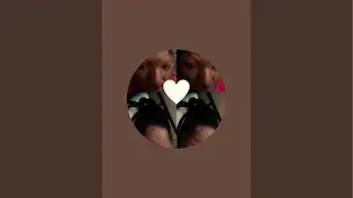 JaelaRogers is live!