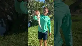 Football largemouth bass
