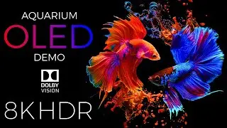 Aquarium OLED Demo HDR 8K Ultra HD Dolby Vision™ 60fps