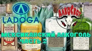Обзор мексиканского алкоголя: часть 2
