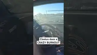Neighbor does an insane burnout 