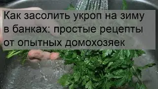 Как засолить укроп на зиму в банках: простые рецепты от опытных домохозяек