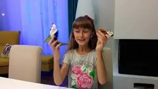 funny animals 🐎🦌🐼🐢