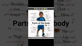 parts of the body