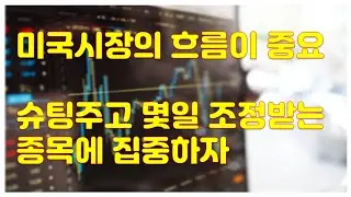 [주식] 미국시장의 반등을 기대하며, 관심종목을 꼽아본다.