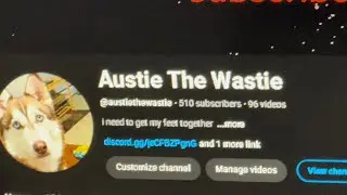 500 Subscribers