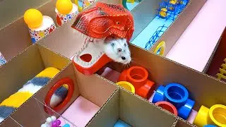 🐹 ХОМЯК в ЛАБИРИНТЕ с ДИНОЗАВРОМ! 🦖 [ Хомяк проходит лабиринт ]