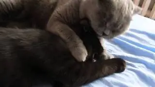 Водные процедуры