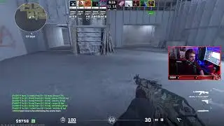 FaceIt Pugs