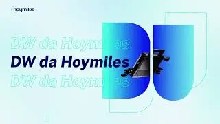 DW da Hoymiles - Preço econômico, produto de primeira classe