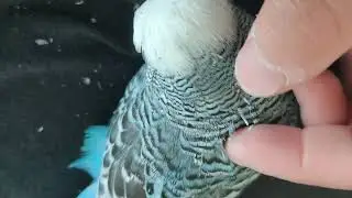 Byron (part two)