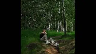 SPIRY - Пчела *сниппет*