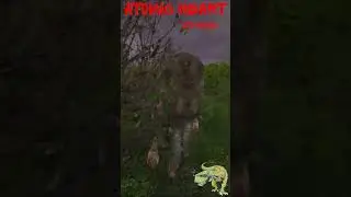 Atomic Heart. Нашёл Излома из СТАЛКЕРА! 
