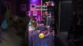 Sapnap said Patches was sad 😢 