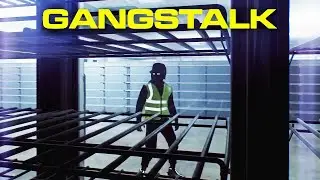 Why Everyone's Talking About This New Indie Game - GANGSTALK