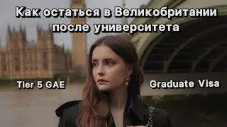 Как остаться в Англии после обучения? / graduate visa / tier 5 gae