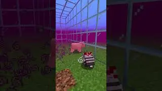 Infection Z Last apocalypse - Minecraft Mod  
