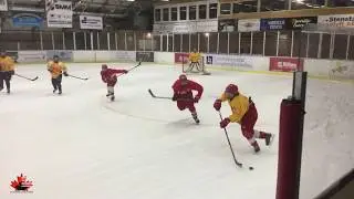 001 04  (SHADOWING) Basic Concepts  Problems when Puck Watching and 2 Hands on Stick