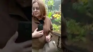 Моя любовь #цветы