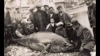 Balık Şehir İstanbul'dan Fotoğraflar