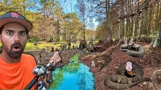 BITTEN While Fishing The SNAKE INFESTED Swamp of the DRAINING LAKE! - We Caught The CREEK MONSTER!!!