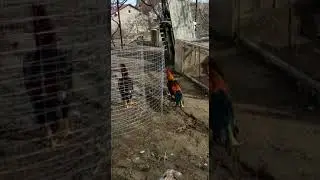 27 февраля 2020 г.