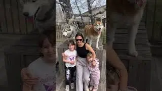 Все вместе 😜