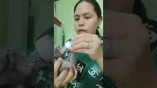 PINABAYAAN NG NANAY #cat #ytshorts #shorts #fyp