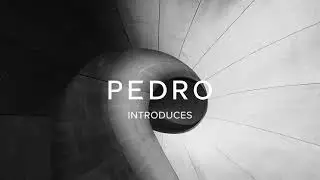 PEDRO Introduces World Photography Day