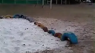 Сальто вперёд