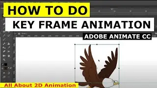 How do Key frame animation in Adobe animate CC