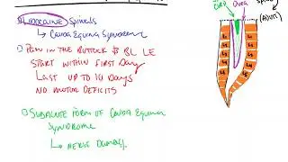 Transient Neurologic Symptoms