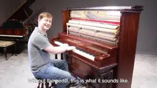 Antique Piano Shop, 5 Pedal Wing and Son