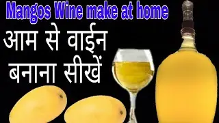 Mangos Wine make at home. Whiskey & Food recipes
