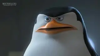 Yo creo mis propias opciones - Skipper